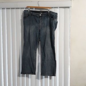 Lane Bryant petite med denim